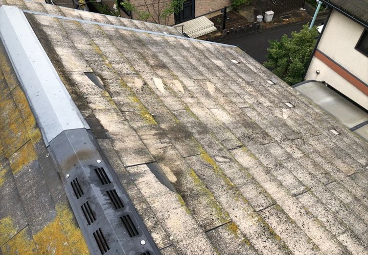 西東京市谷戸町で調査した屋根にはレサスという屋根材が使われていました