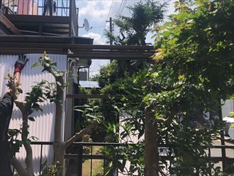 波板を取り付けていきます