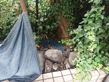 植え込みからの雨漏り