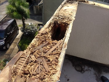 狛江市中和泉で穴が空いて下地が腐食したバルコニーの笠木交換工事をおこないます