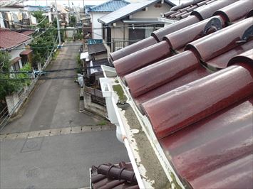 雨樋の中