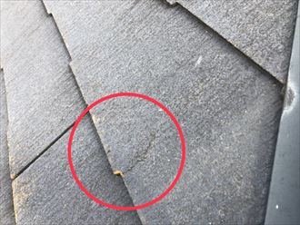 ひび割れを確認