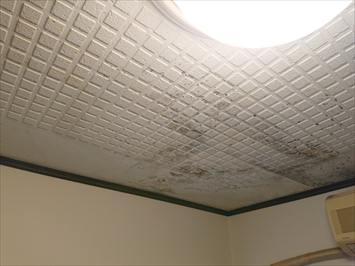 天井から大量の雨漏り