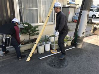 足場設置の為植木を移動