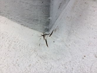 雨漏りしてもおかしくない陸屋根