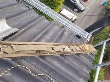 軒先には鳥の巣の跡があります