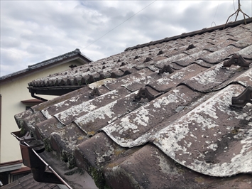 屋根のほとんどで塗膜の剥がれが発生しています