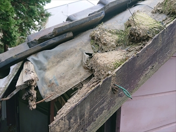 屋根の側面ケラバ部分がダメージを受けています