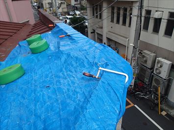 養生済み屋根