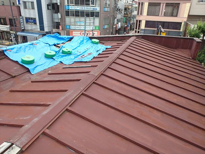 養生された屋根