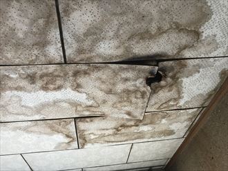 天井の雨漏り状況