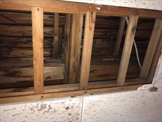 下屋根直下の防水紙から雨漏り