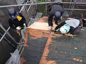 雨漏り箇所の野地板を張り替えます