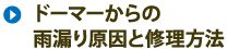 ドーマーからの雨漏り原因と修理方法