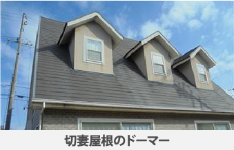 ドーマーからの雨漏りと修理方法