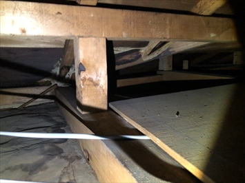 和室の天袋から小屋裏に入ります