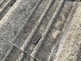 剥離した表面の欠片