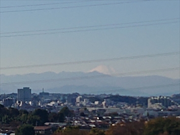 富士山が綺麗に見えています
