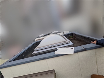 ポリカドーム全容