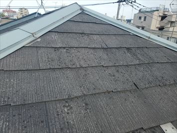 スレート屋根の防水性が低下し苔・藻・カビが発生