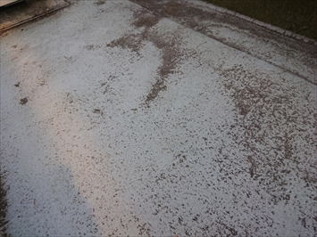 雨水が溜まった防水層