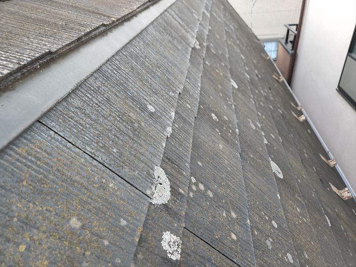 江戸川区一之江にてスレート屋根に苔が発生、屋根塗装工事をご提案