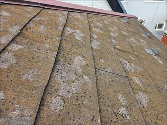 苔・藻・カビが発生しているスレート屋根
