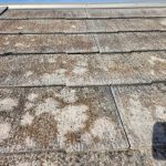 スレート屋根の防水性が低下して苔・藻・カビが発生