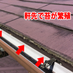 軒先に苔が繁殖し雨水が排水されにくい状態
