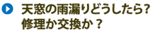 天窓の雨漏りはどうしたら？修理か交換か？事例を紹介