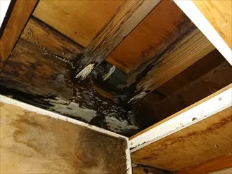 雨漏りによる屋根裏のシミ