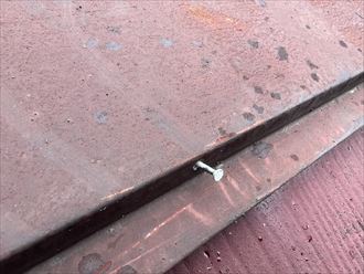 棟板金の釘の浮き