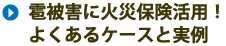 雹被害に火災保険活用！