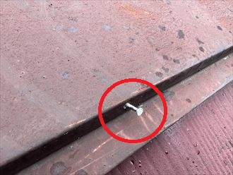 棟板金の釘の浮き