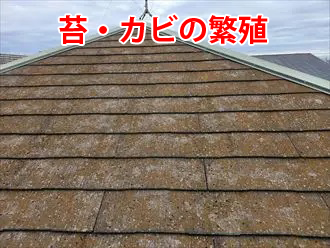 苔・カビが繁殖したスレート屋根
