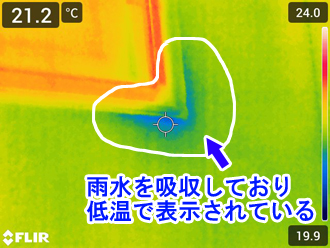 外壁のクラック(ひび割れ)から雨水を吸っているようです。