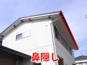 鼻隠し