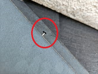 棟板金の釘浮き