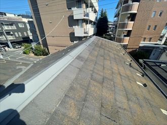 コロニアルneoを使用した屋根一面に藻の発生