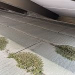 スレートの屋根材に苔の発生