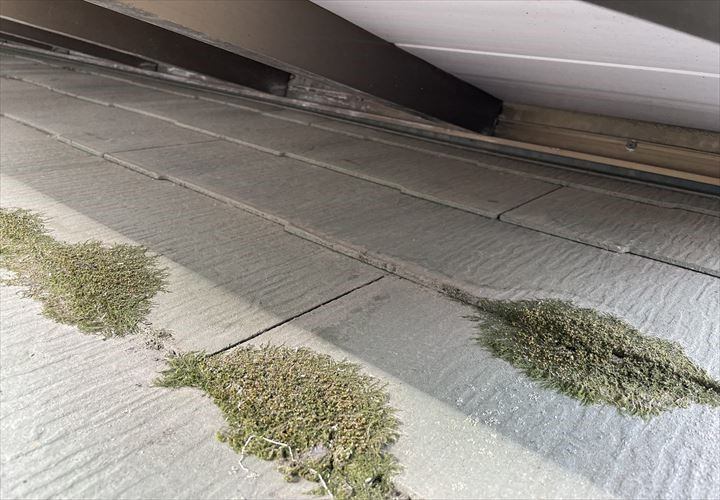 スレートの屋根材に苔発生
