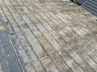 屋根材に藻・カビの発生