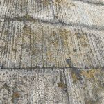 屋根材に藻やカビが発生している様子