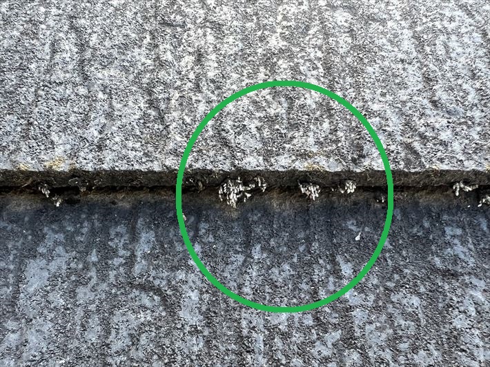 スレートの屋根材にカビの発生