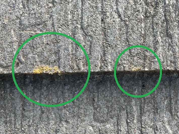 スレートの屋根材に藻の発生