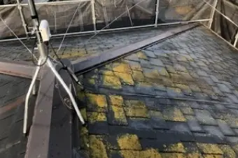 スレート屋根の苔の繁殖