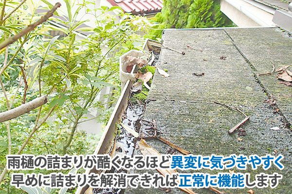 雨樋の詰まりのリスク