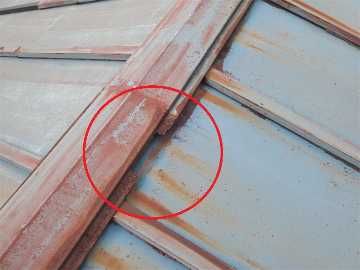 足立区梅島にて瓦棒屋根のメンテナンスのご相談をいただき無料点検を実施！屋根葺き替え工事をご提案致しました！
