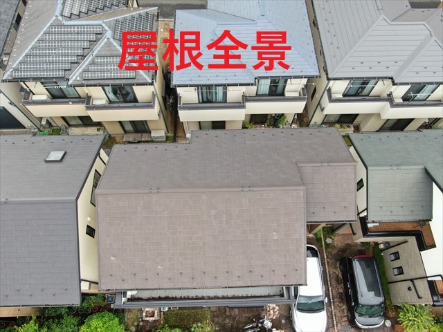 屋根全景