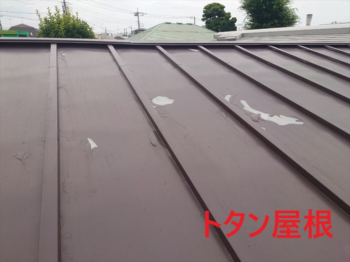 ブログタイトル